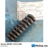 Deutz MWM 1215-5186 Nozzle Spring