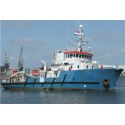 Survey ships