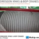 Dreggen XMAS & BOP CRANE 2 x 75 ton