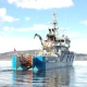 Navy Ships, coast guard ships - Boarder force ships — Year: 2004 and 1999, kW:  2 x 2500 kW , Number of cylinders: 12, Cylinder configuration: V-engine, Fuel Type: Diesel, Class: RINA, Other: Ice class, Gear type: Valmet V gear, IMO Numbers: 4544119 and 4544092, Length Overall LOA Meter: 49,7, Molded Breadth Meter: 7,3, Storage Reels:: For fiber towing line, Gross tonnage ITC (registred): 423 / 432, Fuel Oil:: 82.000 liter, Fresh Water M³ : 15, ACCOMMODATIONS:: 18, Main Engines:: Wartsila 12V200, Bow Thrusters:: 360 degree retractable  Azimuth, Stern Thruster:: Split rudders for stern thrust, Total Propulsion HP:: 6790, Propulsion:: 2 x 2400 mm Berg / Cateerpillar CPP propellers - ICE classed, Ship’s Service Generators:: 2 x 129 kVA, Positioning:: DP, Cranes:: 1 x 32 t/m fore deck + 1 x 10 t/m aft deck, LIFESAVING EQUIPMENT: According to SOLAS, Rudders / steering gear: 2 x Rolls Royce / Tenfjord invidual independent split rudders, Firefighting:: FiFi, Fire pump: Iron Pump 400 m3/hr, Monitors: Remote controlled monitor with foam capacity, Maximum speed: confidential, Economical speed: 10-16 knots, Range, Nautical miles: 5500, Bollard pull: 62 tons - towing hook fitted - Classed with towing notation, MOB boat / Work boat: 7,5 meter high speed FRC - MIL spec launched from integrated slipway in the stern