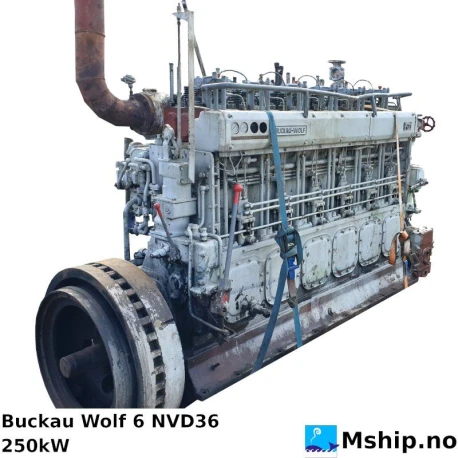 Buckau Wolf 6 NVD36 — Manufacturer: Buckau Wolf, Serial number: 24605, Year: 1958, HP: 335, kW: 250, Number of cylinders: 6, Cylinder configuration: In line, Fuel Type: Diesel