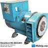 Stamford HC.M434D1 — Manufacturer: Stamford, Model: HC.M434D1, Serial number: C080912/02, Year: November 1998, RPM: 1800, Rotation direction: CCW - Counter clockwise seen from aft, Other: AVR MX341, Generator end type: Stamford HC.M434D1, Amps: 400.2, Volt: 440/254, HZ: 60, kVA: 305