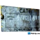 Caterpillar D353 — Manufacturer: Caterpillar, Model: D353, Serial number: 47B2141, HP: 425, kW: 317, RPM: 1225, Running Hours: 23678, Cylinder bore: 159 mm, Piston Stroke: 203 mm, Number of cylinders: 6, Cylinder configuration: In line, Other: Gear: Pay&Brinck,  3,75:1 gear ratio.   Fitted with PTO in front. (sold separately)