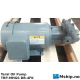 Teral Oil Pump TRP-MHG6-DB-4FK — Manufacturer: Teral, Model: TRP-MHG6-DB-4FK, Manufacturers part number: M-6081 6059012, Alternative part number: MFG. No. D8764117, Serial number: T17M196284, Volt: 400, HZ: 60, Pump Pressure BAR: 0,3 MPa, Volume - cm³ /round: 11,1 L/min