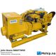 John Deere 6068TFM50 with Stamford UCM274E1   https://mship.no