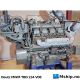 MWM TBD 234 V08    https://mship.no