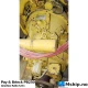Pay & Brinck PB250 — Manufacturer: Pay & Brinck, Model: PB250, Manufacturers part number: 2207, Year: 1985, Gear type: Non Reversing Gearbox  CPP  - to be used with controllable pitch propeller, Gear ratio: 5.0:1, Remarks: From CAT 3412
SAE 0   (SAE 1 with adapter)