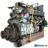 Nohab Polar  F 28V-D825     mship.no