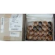 MTU 5370550250 SPACER BUSHING — Manufacturer: MTU, Manufacturers part number: 5370550250